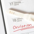 Ovulation tests