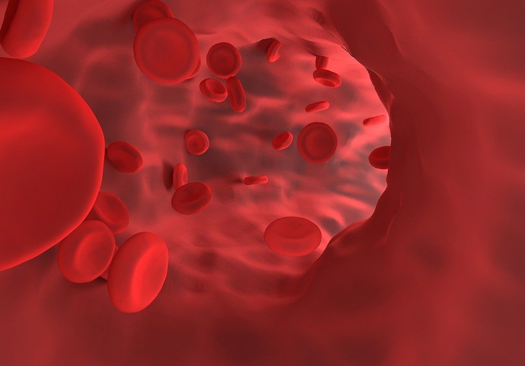 Things You Should Know About Blood Thinners