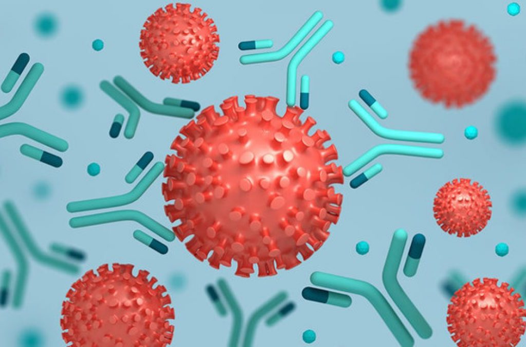 What Are the Uses of Antibodies?