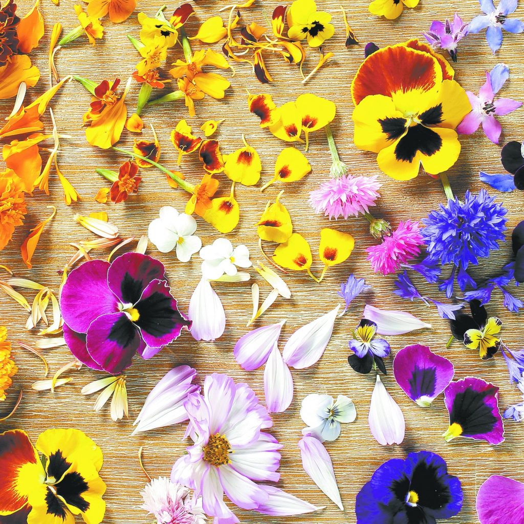 Health Benefits Of Adding These Edible Flowers In Your Diet