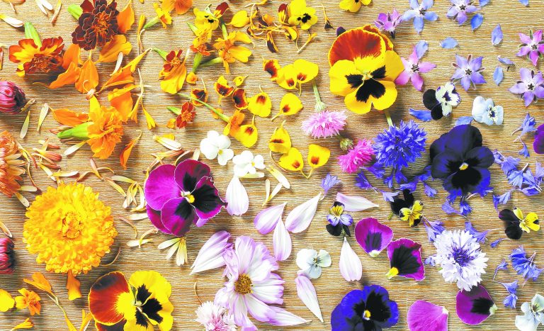 Health Benefits Of Adding These Edible Flowers In Your Diet